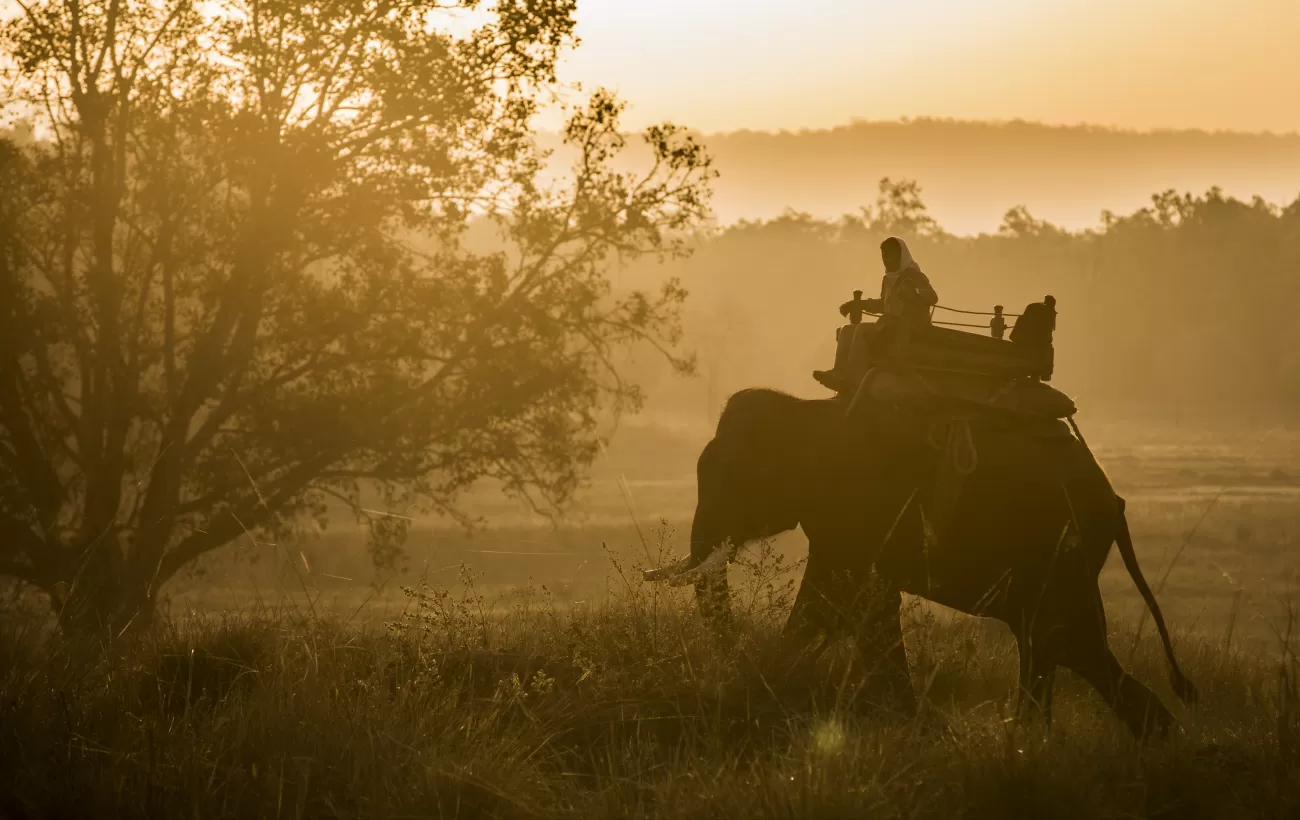 Pokhara to Chitwan Car