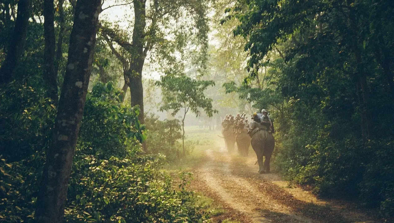 Kathmandu to Chitwan Private Car