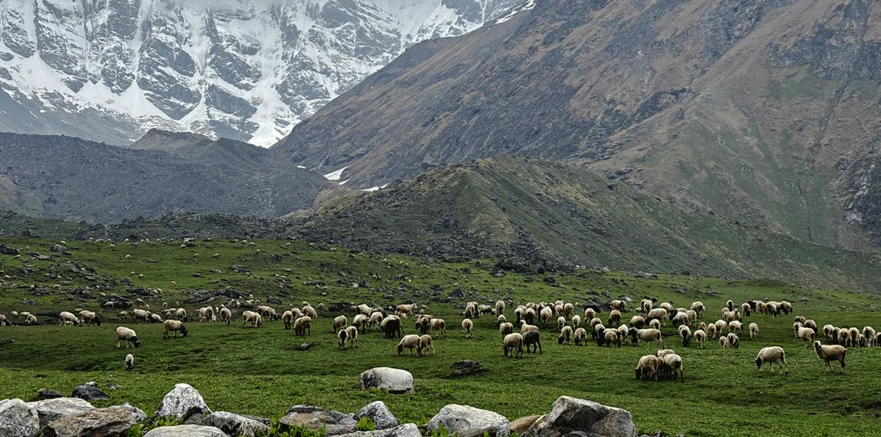 Api Himal Trek transport with 4WD jeep and private vehicle service to the trek starting point in Far West Nepal
