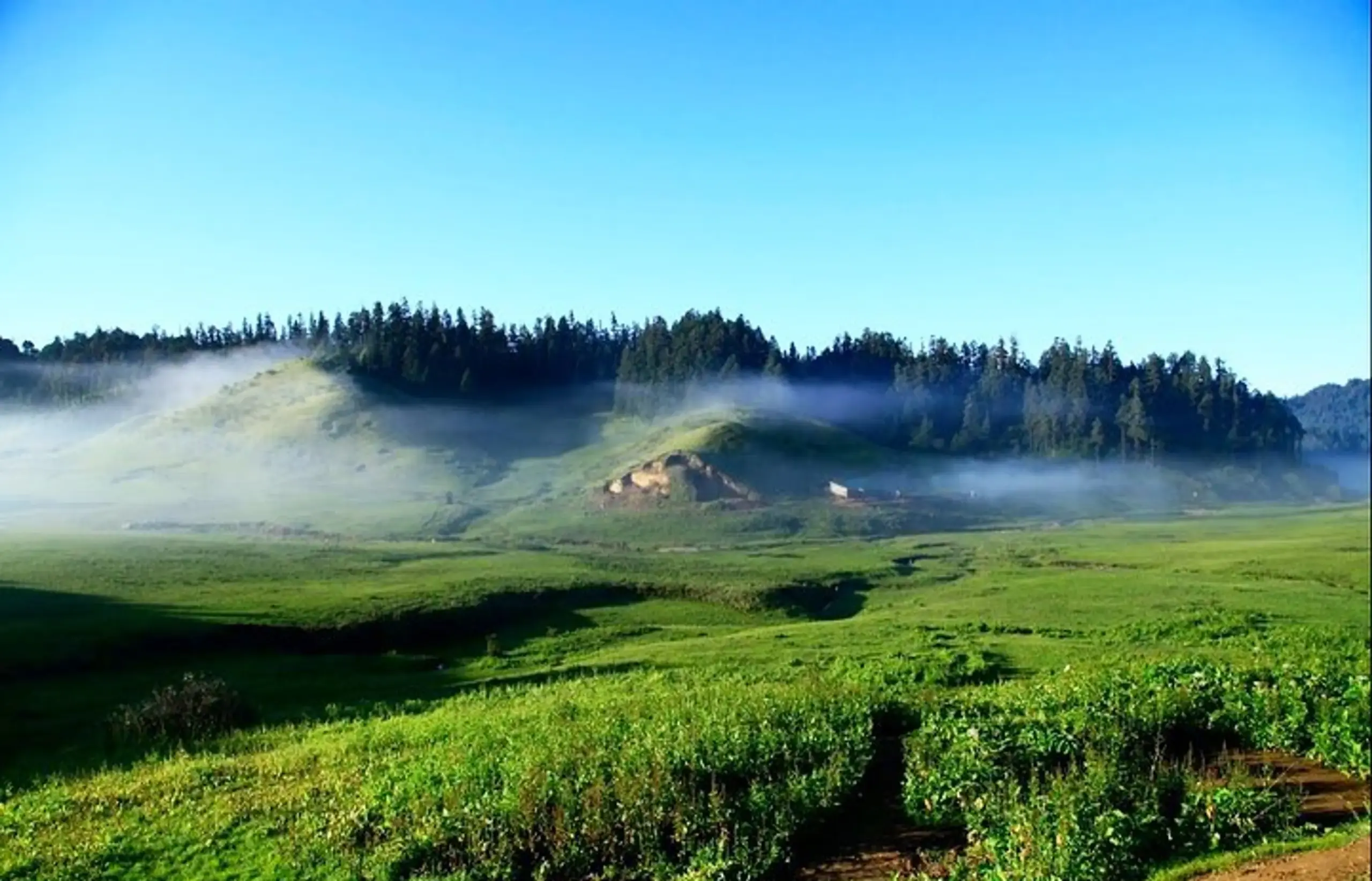 Book Sudurpaschim Tour Transportation with private cars, 4WD jeeps, Scorpio SUVs, Hiace vans, Coaster buses, and tourist buses for comfortable travel to Khaptad National Park, Api Himal, Shuklaphanta National Park, Mahendranagar, Dhangadhi, and other top destinations in Far Western Nepal.