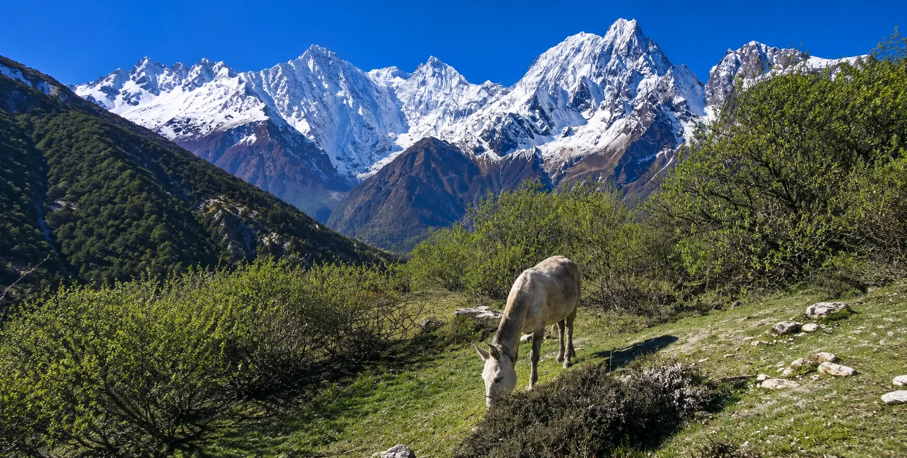 Trekker obtaining MCAP Permit guide for the Manaslu Conservation Area in Nepal