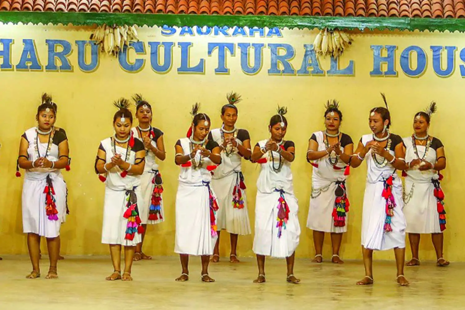 Tharu People – Chitwan's Cultural Heart | Top 5 Nepal Tours Tharu People of Chitwan, the cultural heart of Chitwan and a highlight of Top 5 Nepal Tours with traditional dance, village life, and indigenous heritage