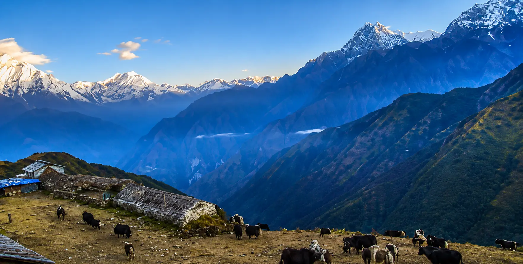 Pokhara to Khopra Danda vehicle hire jeep with Himalayan mountain views on the Khopra Danda trekking route in Nepal. Pokhara to Khopra Danda vehicle hire jeep with Himalayan mountain views on the Khopra Danda trekking route in Nepal.