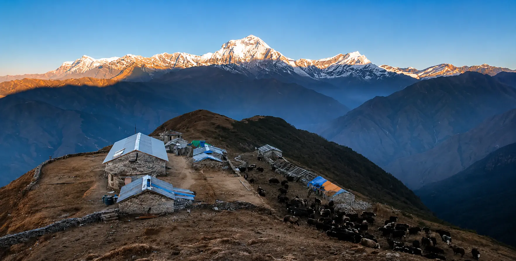 Mardi Himal Trek, one of the best treks in Nepal with close-up views of Machhapuchhre and the Annapurna range