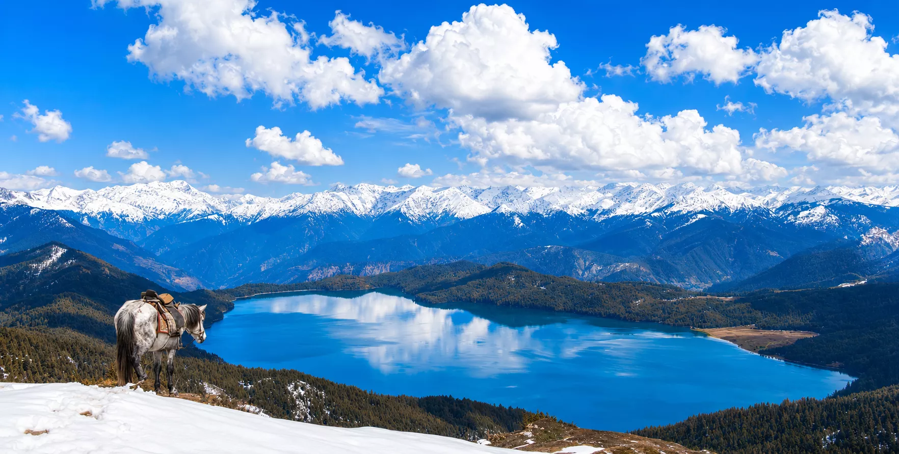 Book a Surkhet to Rara Lake Jeep with a private 4WD vehicle and experienced driver. Enjoy a safe and comfortable journey to Rara National Park with updated road information, travel tips, and reliable transport.