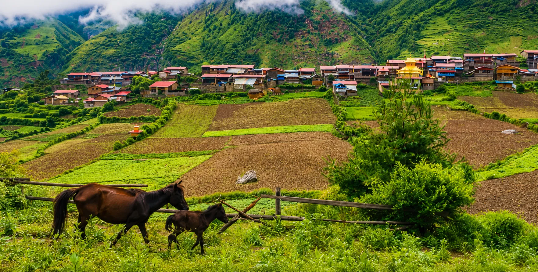 Travel from Kathmandu to Machha Khola with a private 4WD jeep or Scorpio. Learn about road distance, travel time, jeep costs, road conditions, and transport options for the Manaslu Circuit Trek.