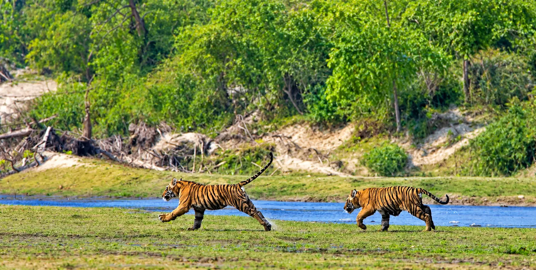 Best tourist vehicle rental in Chitwan with private cars, Scorpio jeeps, Hiace vans and professional drivers for safari tours, sightseeing and comfortable transfers.