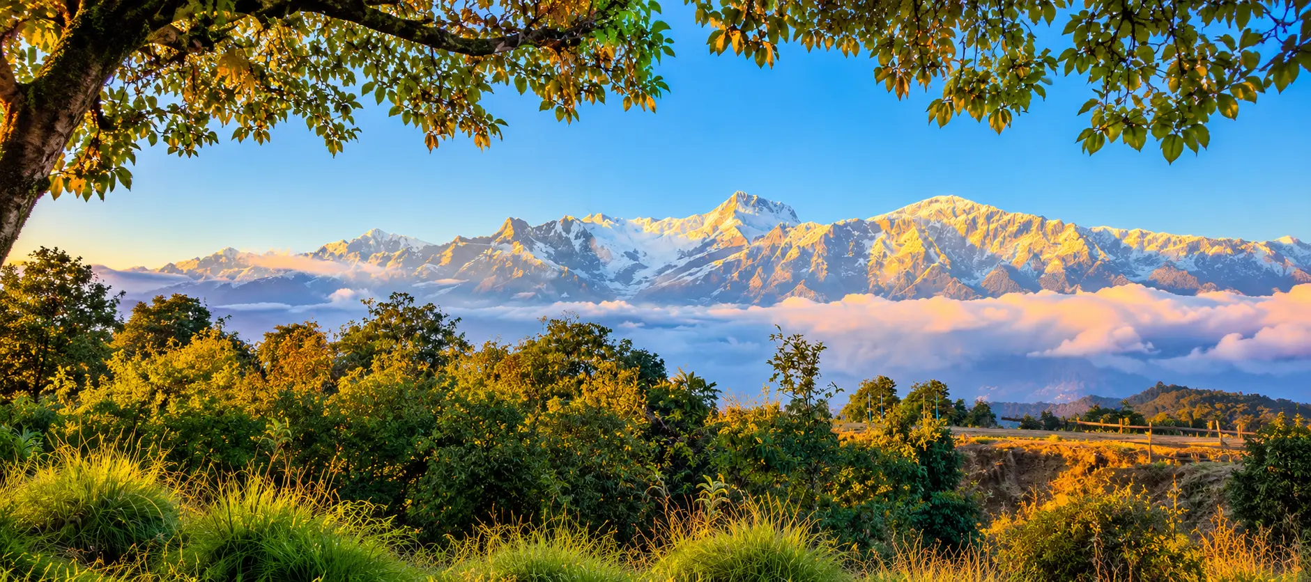Pokhara to Tangting Private Jeep Hire Pokhara to Tangting Private Jeep Hire